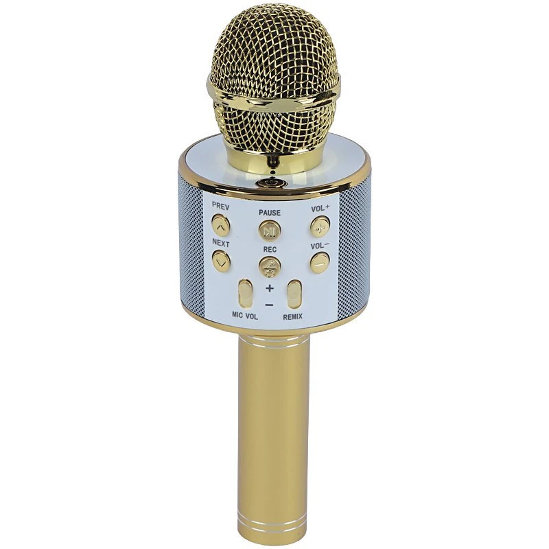 میکروفون اسپیکر گودفری WS-858 - تصویر 10