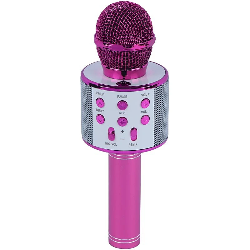 میکروفون اسپیکر گودفری WS-858 - تصویر 7