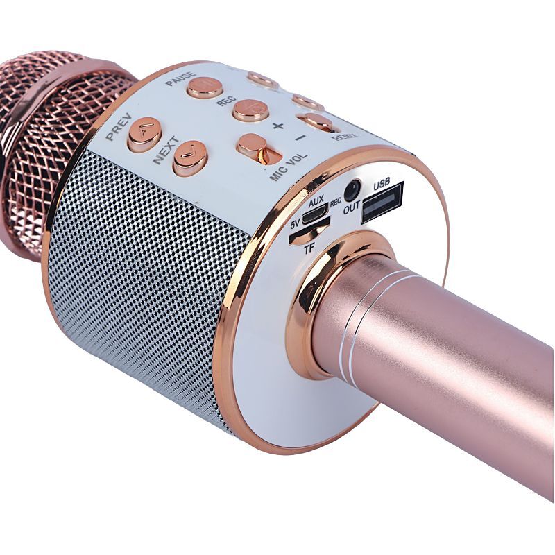 میکروفون اسپیکر گودفری WS-858 - تصویر 12