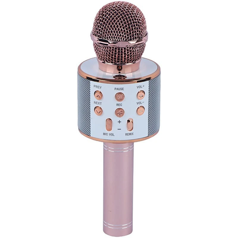 میکروفون اسپیکر گودفری WS-858