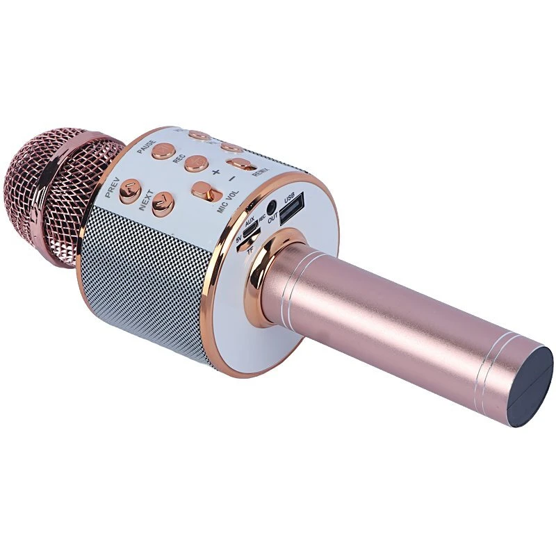 میکروفون اسپیکر گودفری WS-858 - تصویر 15