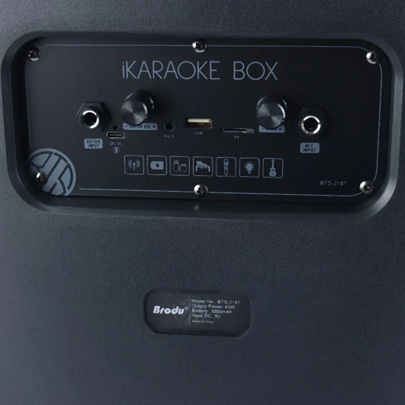 اسپیکر بلوتوثی برودو BTS-2187 + میکروفون - تصویر 7