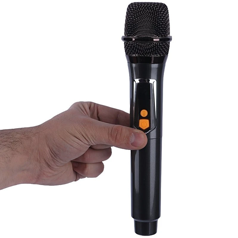 اسپیکر بلوتوثی برودو BTS-2187 + میکروفون - تصویر 9