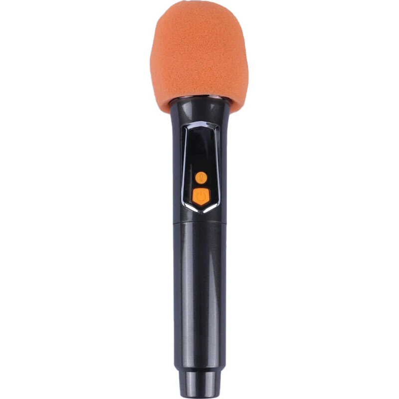 اسپیکر بلوتوثی برودو BTS-2187 + میکروفون - تصویر 12