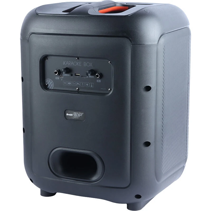 اسپیکر بلوتوثی برودو BTS-2187 + میکروفون - تصویر 8