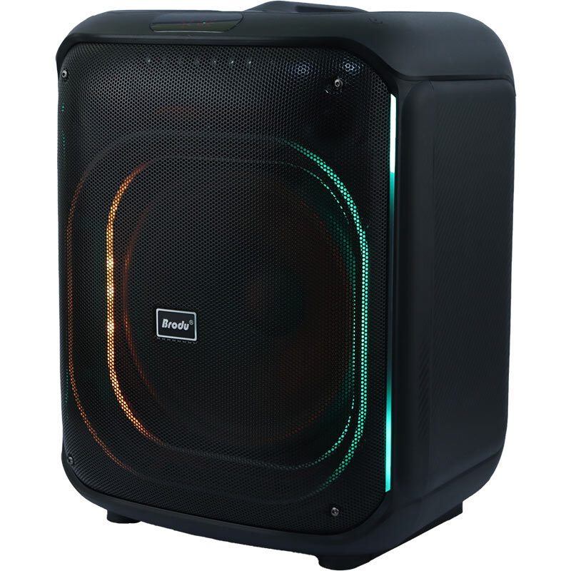 اسپیکر بلوتوثی برودو BTS-2187 + میکروفون - تصویر 3