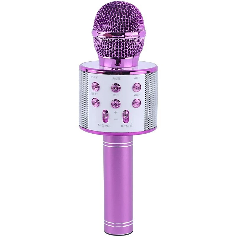 میکروفون اسپیکر گودفری WS-858 - تصویر 3