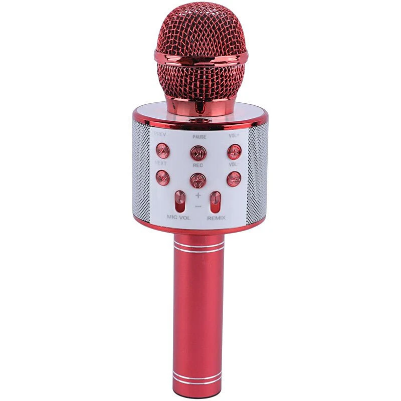 میکروفون اسپیکر گودفری WS-858 - تصویر 4