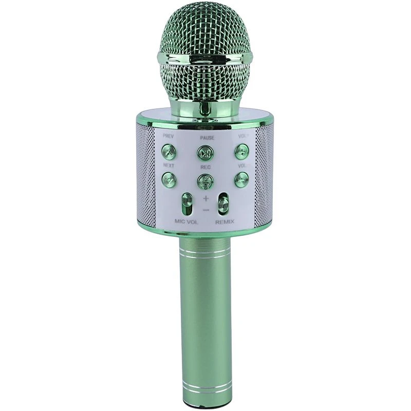 میکروفون اسپیکر گودفری WS-858 - تصویر 5