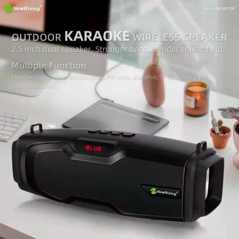 اسپیکر بلوتوثی نیو ریکسینگ NR-6012M + میکروفون - تصویر 8
