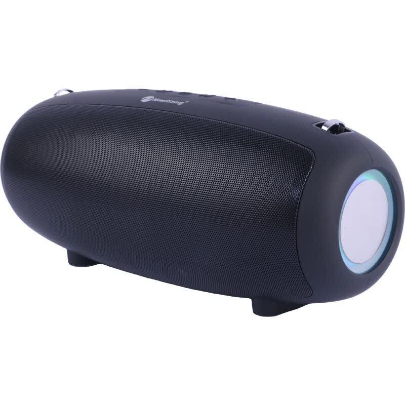 اسپیکر بلوتوثی نیو ریکسینگ NR-6018M + میکروفون - تصویر 4