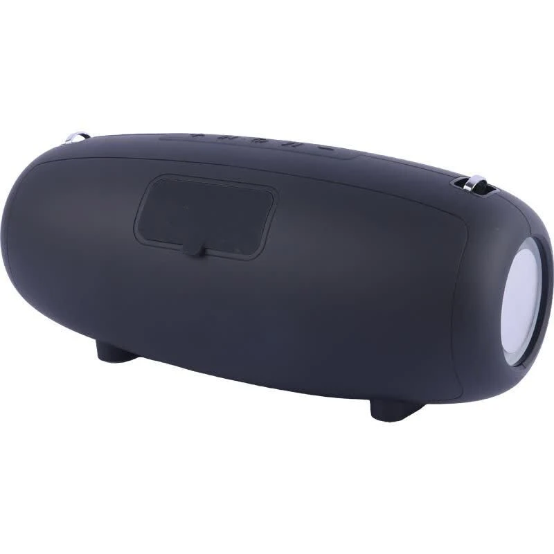 اسپیکر بلوتوثی نیو ریکسینگ NR-6018M + میکروفون - تصویر 5