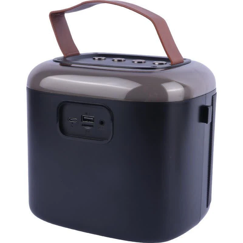 اسپیکر بلوتوثی نیو ریکسینگ NR-8805 + میکروفون - تصویر 5