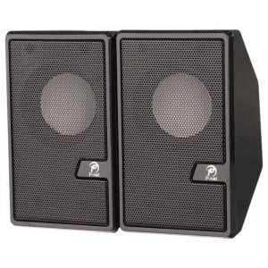 اسپیکر دسکتاپ پی نت S-555